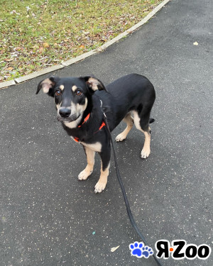 Маруся ищет дом в Москве даром