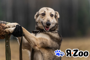 Кэти — невероятная обаяшка в Москве даром