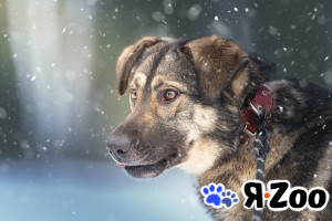 Эстери — яркая звёздочка в Москве