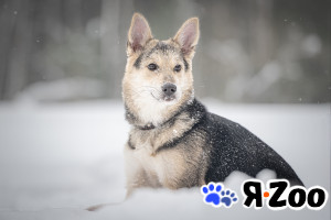 Мира — звонкое счастье в Москве