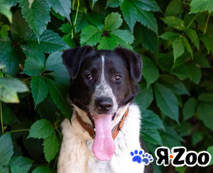 Рик ждёт своего человека в Железнодорожном