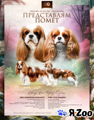 Раннее бронирование в Раменском 80 000 руб.