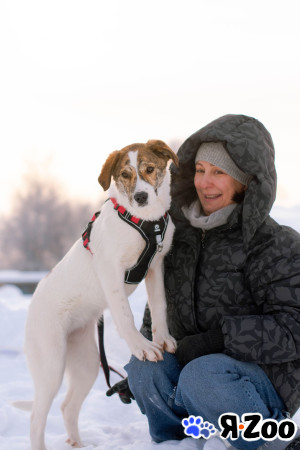 Ищет дом маленькая белая принцесса в Москве даром