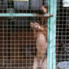 Я устал жить в приюте - фото 5