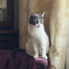 Лиза ищет дом - фото 5