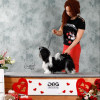 Предлагается для продажи перспективный щенок ши-тцу в Москве 32 000 руб.