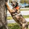 Марик ищет дом - фото 6