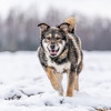 Хэппи — милашка, излучающая свет - фото 2