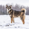 Хэппи — милашка, излучающая свет - фото 3