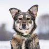 Хэппи — милашка, излучающая свет - фото 4