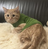 Вязка кота - фото 2