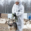 БРАТ ждёт ДОБРОГО ЧЕЛОВЕКА - фото 4