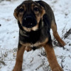 Малышка Пальма иет дом - фото 1