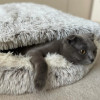 Ищу хозяина для кота - фото 2