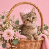 Котята шпротики в добрые руки - фото 2