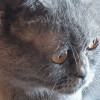Ева ищет дом и человека, которому сможет поверить - фото 2