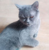 Ева ищет дом и человека, которому сможет поверить - фото 3