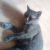 Ева ищет дом и человека, которому сможет поверить - фото 8