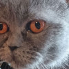 Ева ищет дом и человека, которому сможет поверить - фото 9