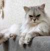 Ася ищет дом, в котором её снова будут любить - фото 8