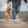 Позитивная Сэмми в поисках своей семьи - фото 9