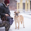 Кому солнышко в дом? Крупная и добрая девчушка - в добрые ру - фото 4
